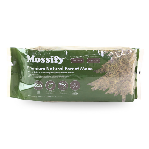 Premium Natural Forest Moss