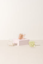 Sale - The Butterfly Collection