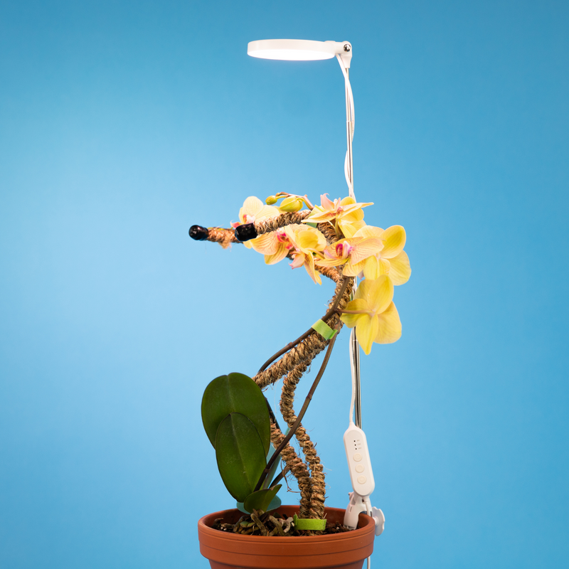 28" Adjustable LED Plant Light