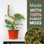 The Bendable Moss Pole™ THIN