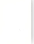 Foundation Cardstock  25 shts 220 gsm - Milk White