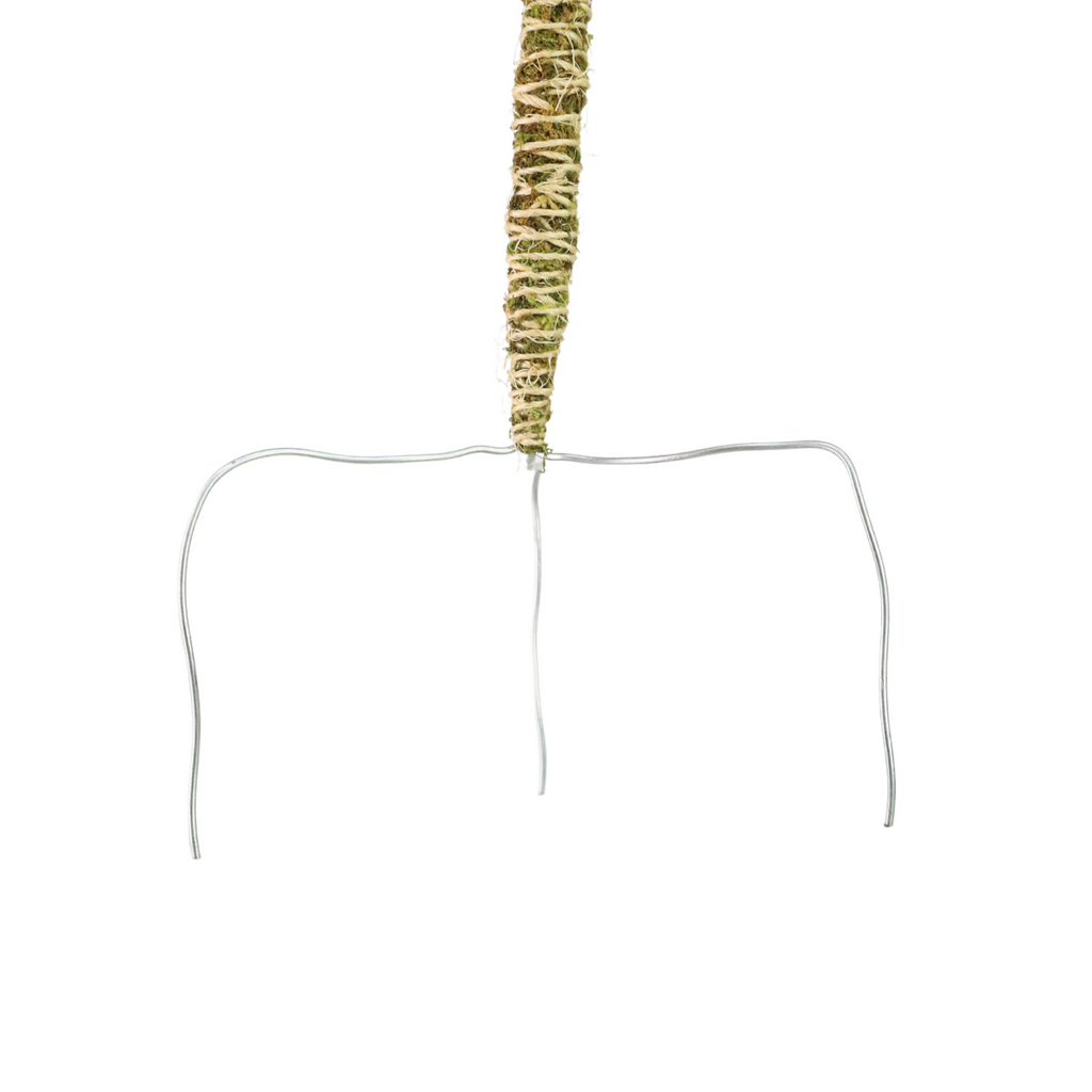 The Bendable Moss Pole™ THIN