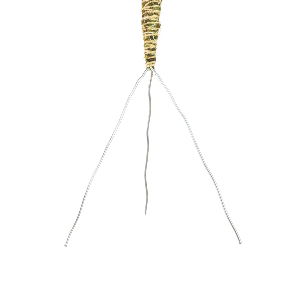 The Bendable Moss Pole™ THIN