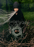 Bjork / Greatest Hits: Volumen - DVD (Used)