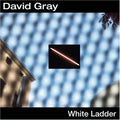 David Gray / White Ladder - CD (Used)