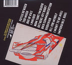 Sufjan Stevens / The Age Of Adz - CD (Used)