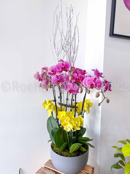 Elegant Classic 3:3 Arrangement