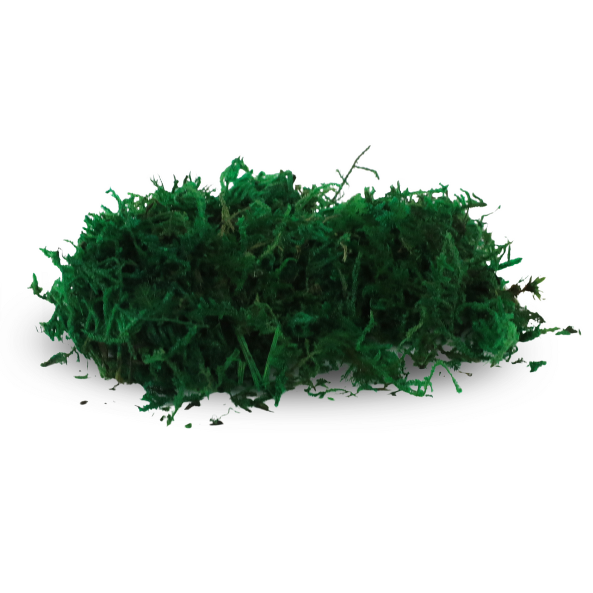 Premium Preserved Forest Moss
