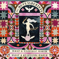 The Decemberists / What A Terrible World, What A Beautiful World - CD (Used)