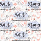 Spellbound Rose 6x6 Pack