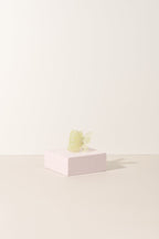 Sale - The Butterfly Collection
