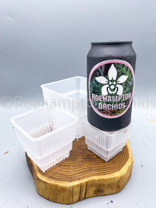 Clear square ultra aerated pots
