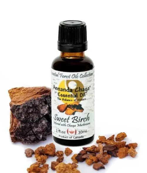 Sweet Birch & Chaga Oil