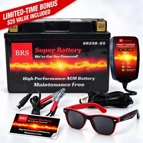 BRS9B-BS 30 Day Warranty Battery & Smart Charger / Maintainer Combo Bundle Kit