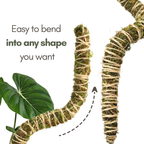 The Bendable Moss Pole™ THIN