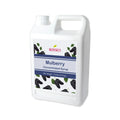 Mulberry (Blackberry)| Multi-Use Premium Fruit Syrups | Bubble Tea Syrup | Fruit Puree | Fruit Smoothie | Fruit Slush Mix | Ships Free Within Canada on Orders Above CAD $199