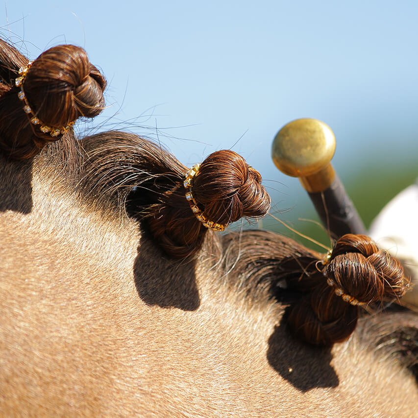 Rhinestone Braid Bling
