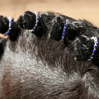Rhinestone Braid Bling