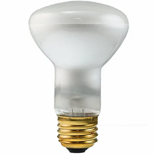 Popcorn Machine Light Bulb 60W