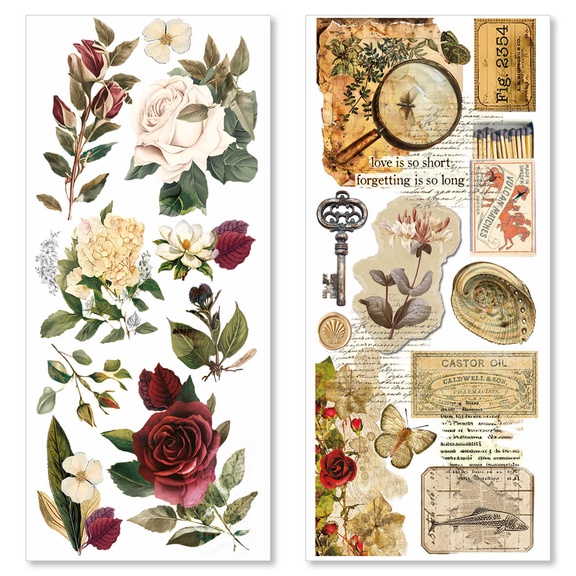 Cabinet Of Curiosities Transparent Adhesive Sheets 5/Pkg