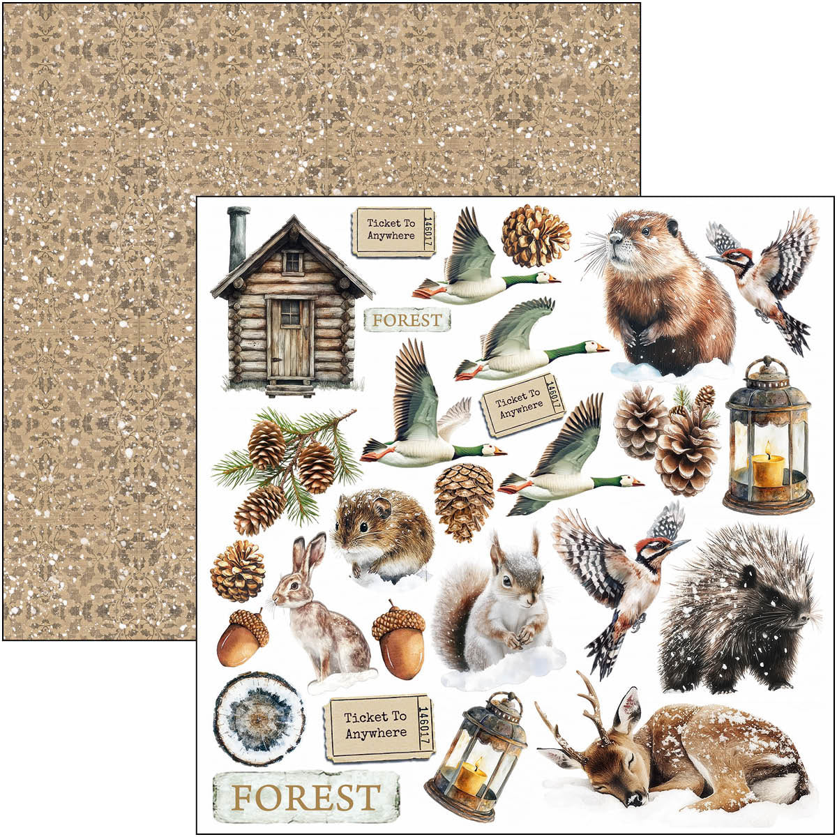 Forest Tales Fussy Cut Pad 6"x6" 24/Pkg