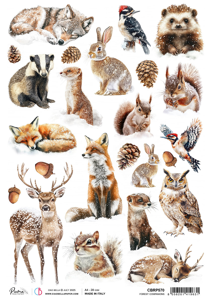 Rice Paper A4 Forest Companions - 5 Sheets