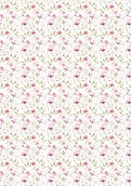 Rice Paper A5 MIXED 8/Pkg Secret Garden