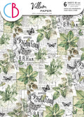 Vellum Cabinet Of Curiosities Paper Patterns A4 6/Pkg