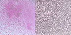 Cosmic Shimmer Pearlescent Airless Misters 50ml