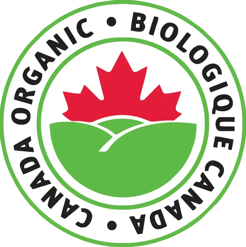 Wild Canadian Chaga Mushroom Tea — Standard Grind
