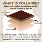 5-6 Inch Collagen Stick