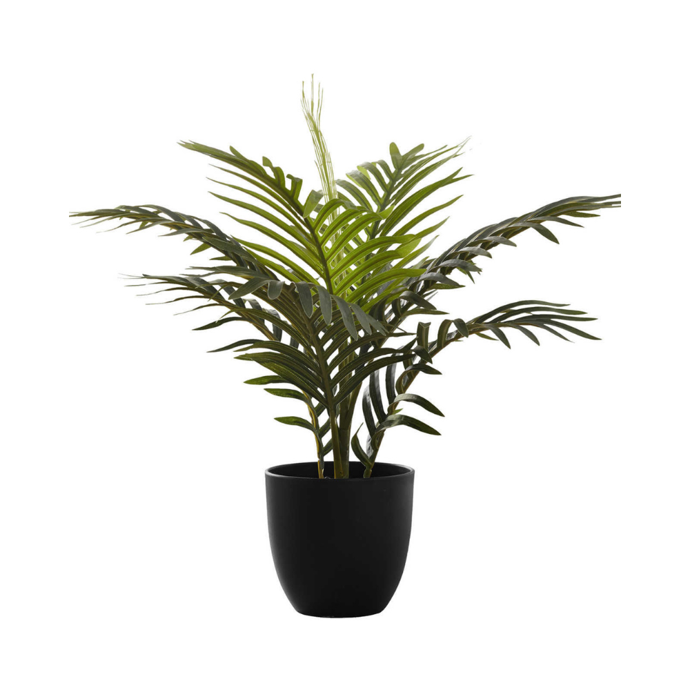 Plante artificielle - Palmier Intérieur Pot 5'', 20''H - Monarch (I 9501)