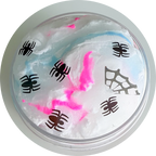 spider web