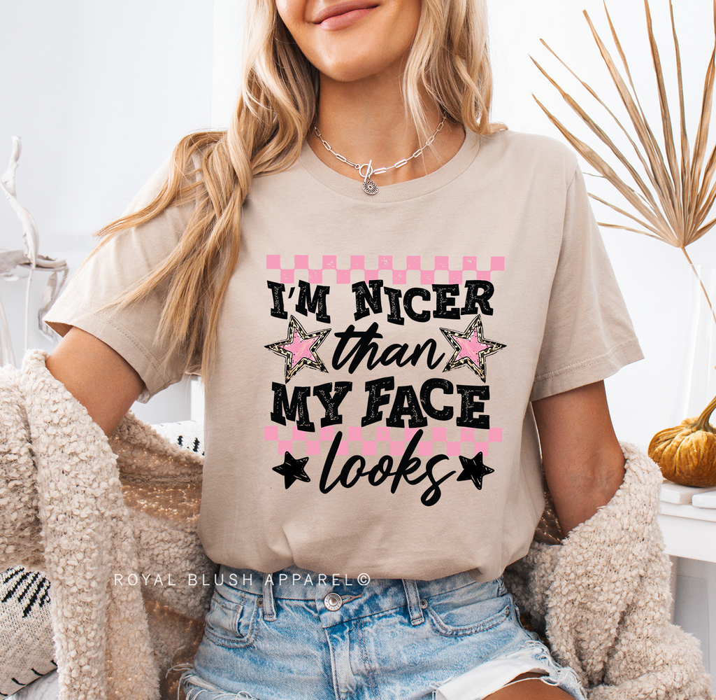I'm Nicer Than My Face Looks DTF Transfer