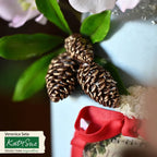 Flower Pro Pine Cones Silicone Mould
