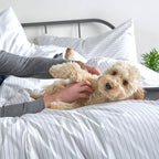 Essential Organic Percale Collection Pillowcase Set