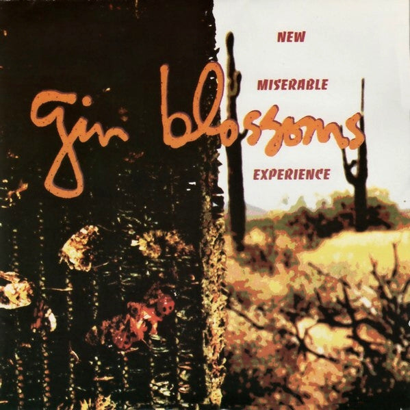 Gin Blossoms / New Miserable Experience - CD (Used)