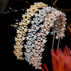 2024 New Crystal Pearl Hairbands Fashion Bridal Tiara Crowns Wedding Hair Accessories CZ Headwear Bridesmaid Headband Jewelry