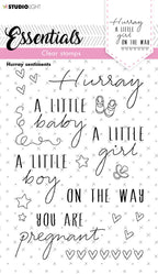 SL Clear Stamp Hurray Sentiments Essentials 105x148x3mm 1 PC nr.172