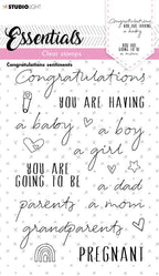 SL Clear Stamp Congratulations Sentiments Essentials 105x148x3mm 1 PC nr.175