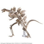 Godzilla x Kong: The New Empire - Godzilla - Model Kit