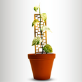 Tropical Squares Wooden Trellis