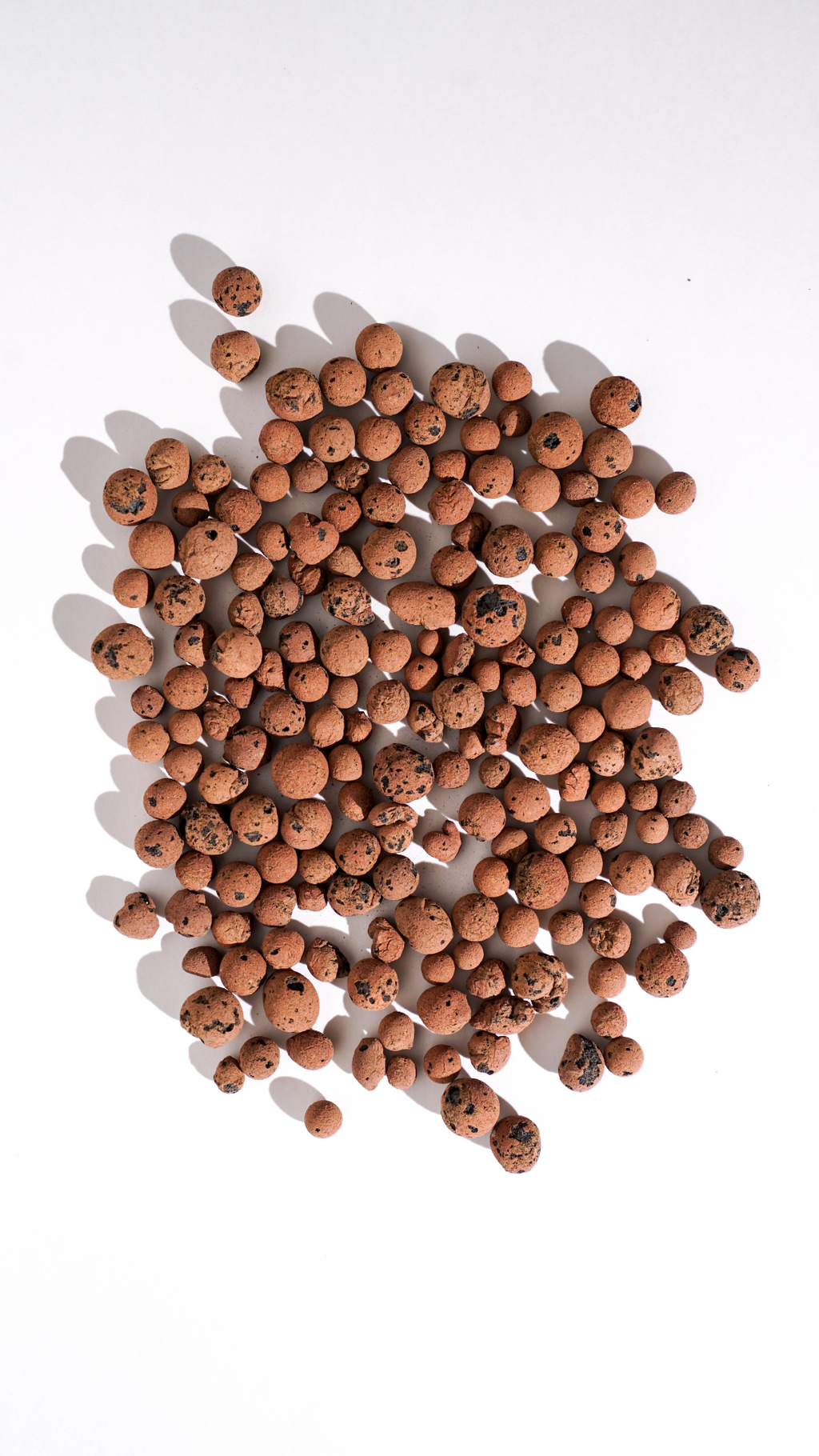 LECA (Clay balls) Large