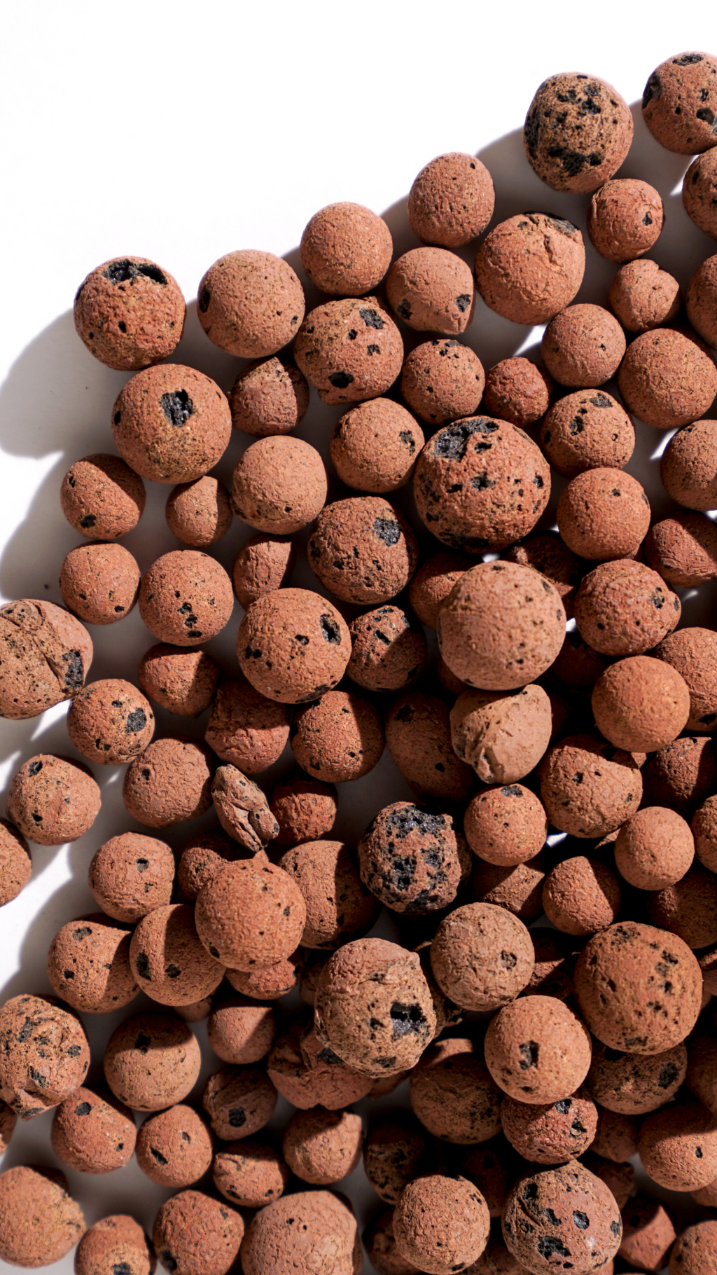 LECA (Clay balls) Large