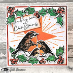 Visible Image Christmas Robin - A6 Stamp Set