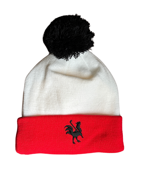 Winter Toque