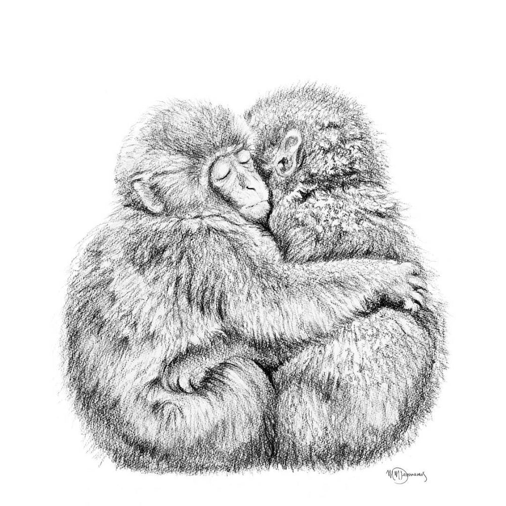 Monkey hug -  Print