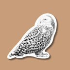 Snowy Owl - Sticker