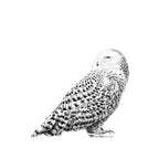 Snowy Owl - Sticker