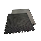 HAJEX Interlocking EVA Foam Gym Floor Mats